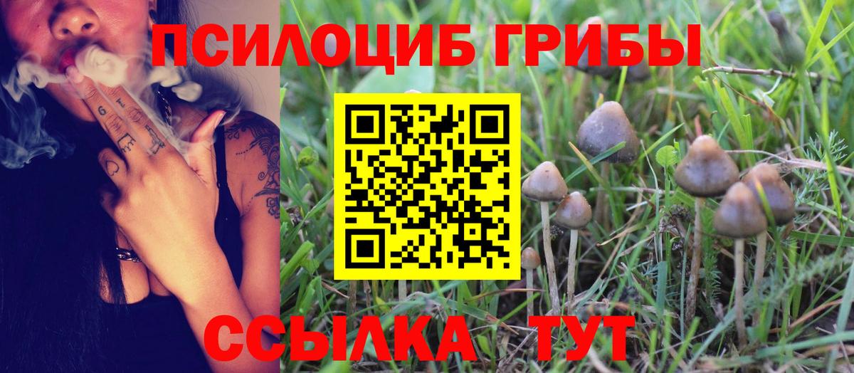 Галлюциногенные грибы Magic Shrooms  Галлюциногенные грибы прущие грибы  Вход с VPN  Чебоксары 